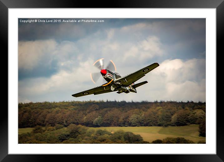 Shark Nosed P-51 Mustang at Goodwood Framed Mounted Print by Chris Lord