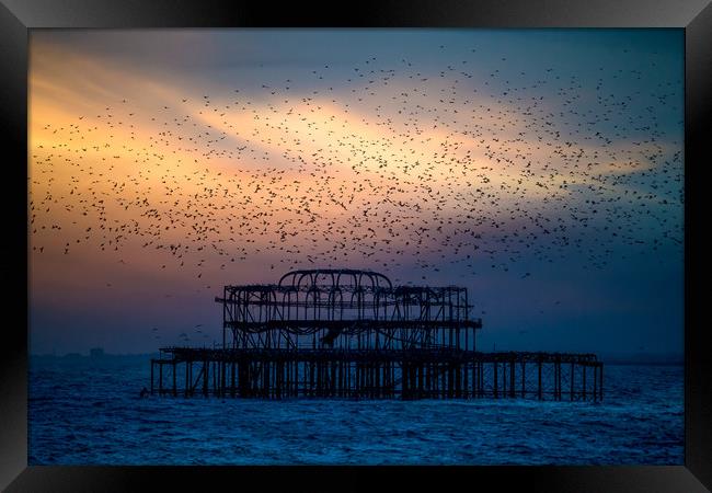 West Pier Murmuration At Sunset Framed Print by Chris Lord