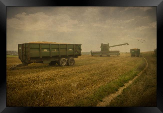 August Harvest On The South Downs Near Brighton Framed Print by Chris Lord