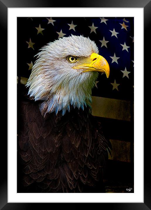 Battle Weary, an American Icon Framed Mounted Print by Chris Lord