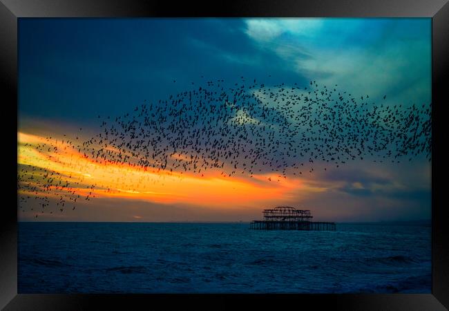 Starlings At Sunset Over The West Pier Framed Print by Chris Lord