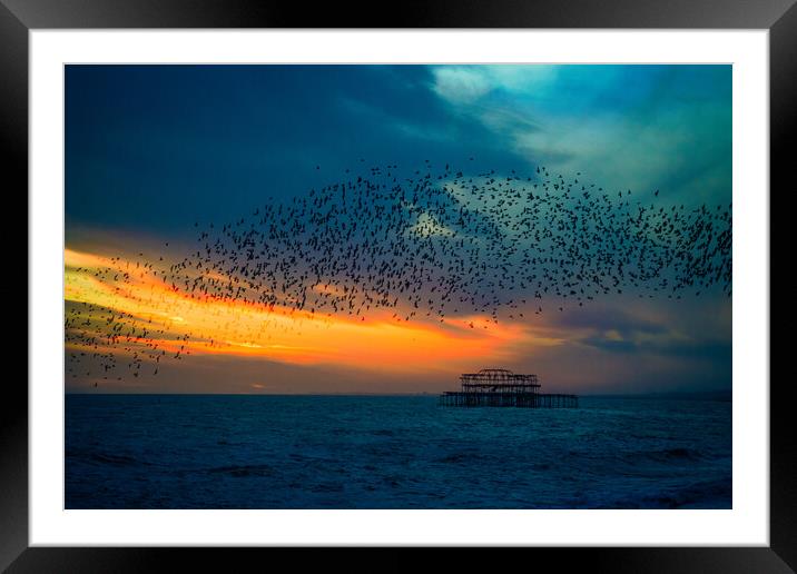 Starlings At Sunset Over The West Pier Framed Mounted Print by Chris Lord
