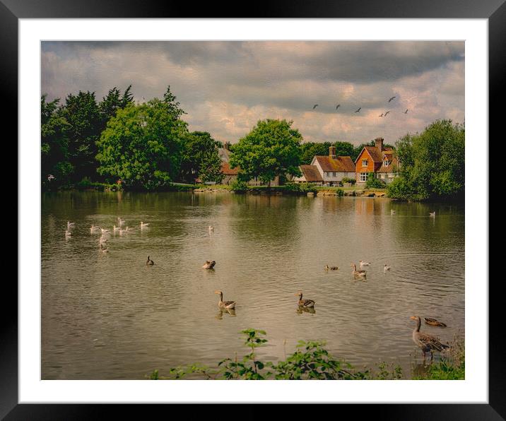 Falmer Village Duck Pond Framed Mounted Print by Chris Lord