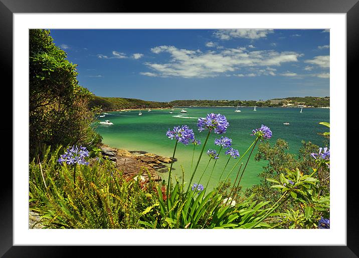 Summer in the Bay Framed Mounted Print by Stuart Hough
