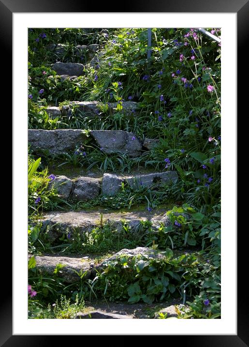 Steps to tranquility Framed Mounted Print by Karl Butler