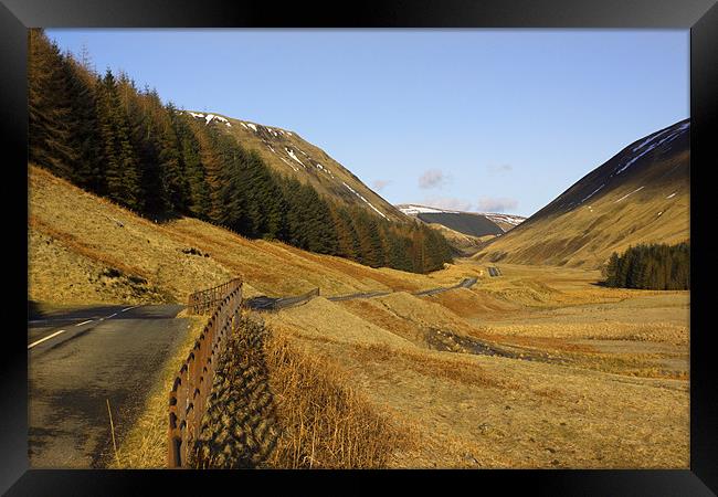 I'll Take The Low Road Framed Print by Lynne Morris (Lswpp)