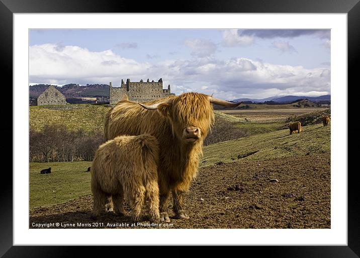A Highland Scene Framed Mounted Print by Lynne Morris (Lswpp)