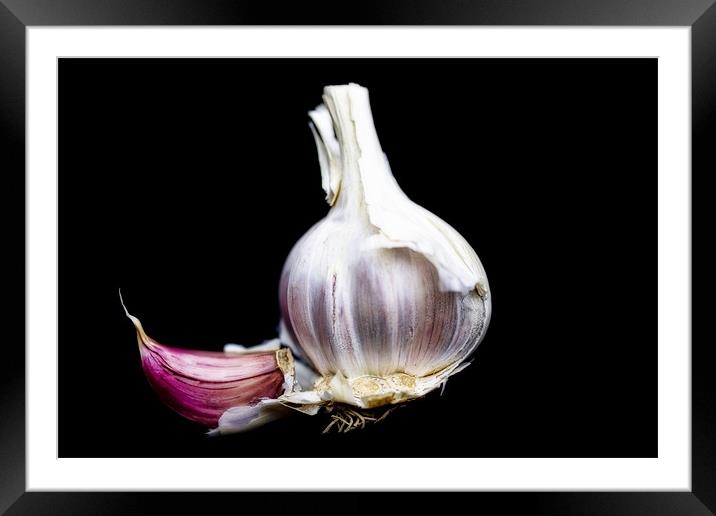 Just Garlic Framed Mounted Print by Lynne Morris (Lswpp)