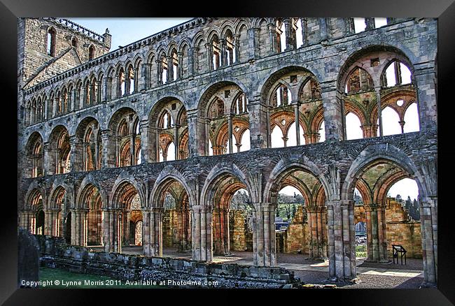 Arches Within Arches Framed Print by Lynne Morris (Lswpp)