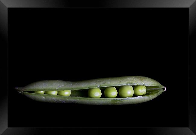 Peas In A Pod Framed Print by Lynne Morris (Lswpp)