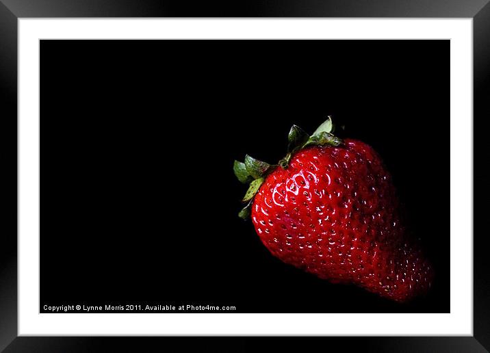 Ready To Eat Framed Mounted Print by Lynne Morris (Lswpp)