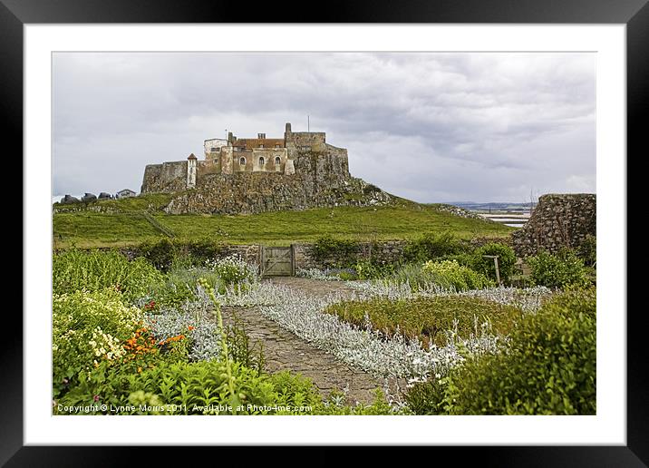 Lindisfarne Castle Framed Mounted Print by Lynne Morris (Lswpp)