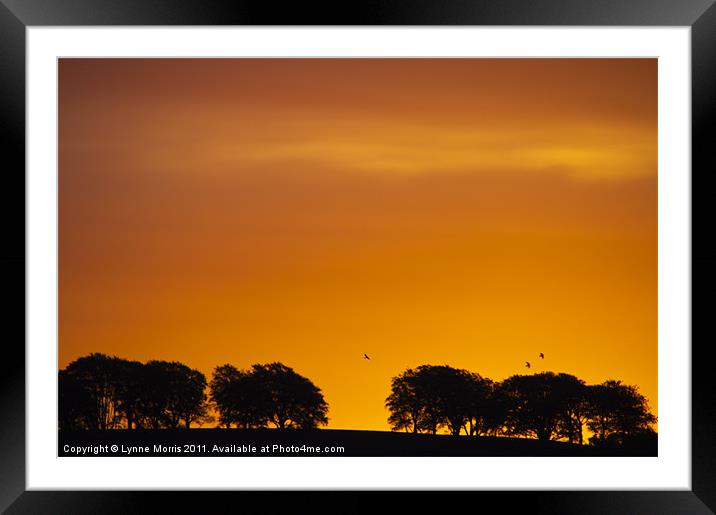 Sunrise Framed Mounted Print by Lynne Morris (Lswpp)