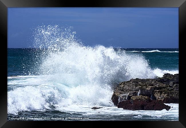 The Big Splash Framed Print by Lynne Morris (Lswpp)