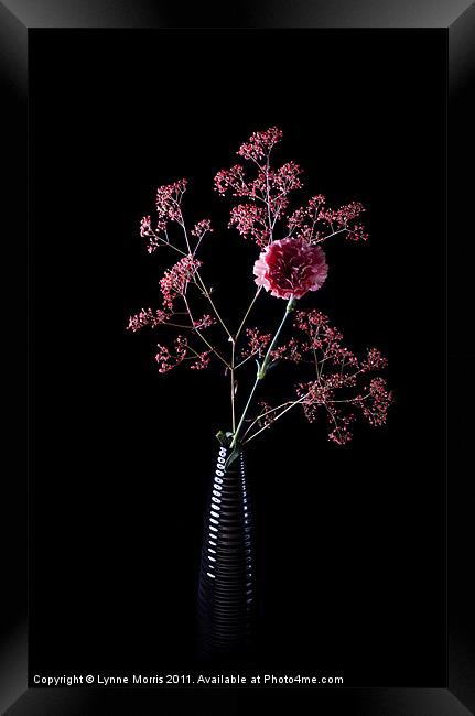 Pink And Black Framed Print by Lynne Morris (Lswpp)