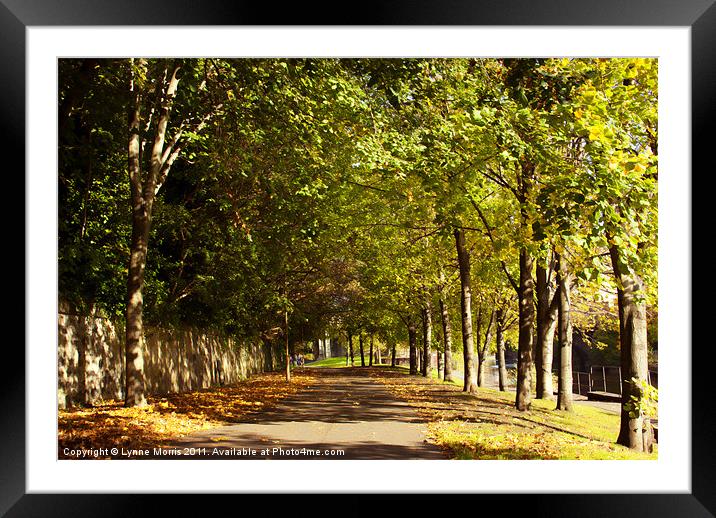 A Walk In The Park Framed Mounted Print by Lynne Morris (Lswpp)