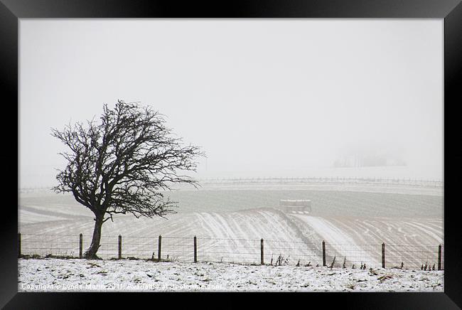 A Cold And Foggy Morning Framed Print by Lynne Morris (Lswpp)