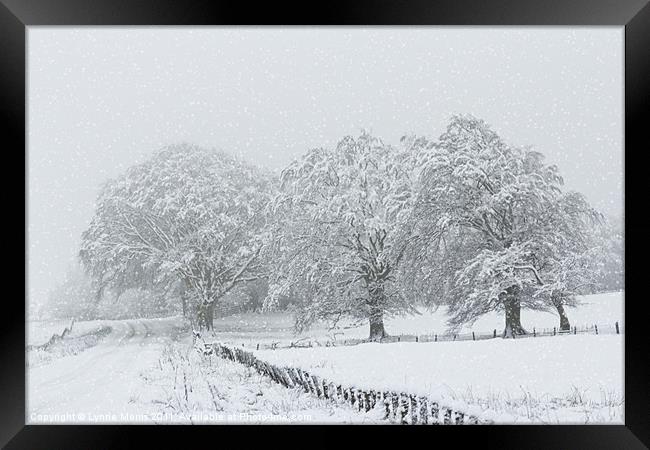 Snow Scene Framed Print by Lynne Morris (Lswpp)