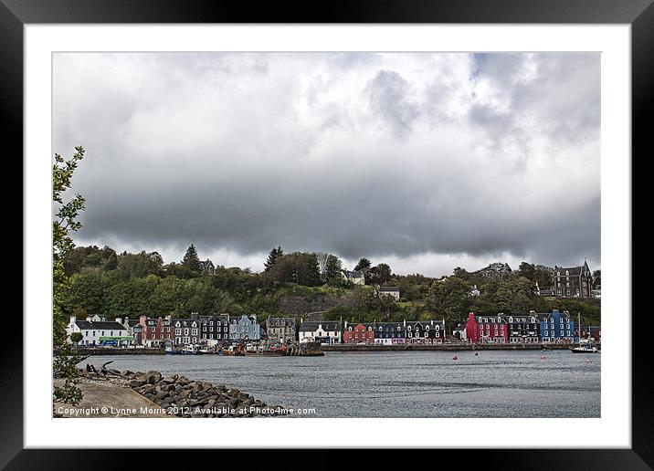 Colourful Houses Framed Mounted Print by Lynne Morris (Lswpp)