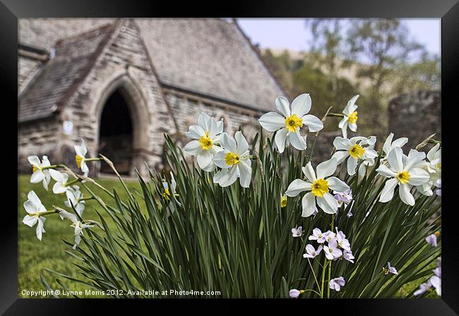 Spring In The Churchyard Framed Print by Lynne Morris (Lswpp)