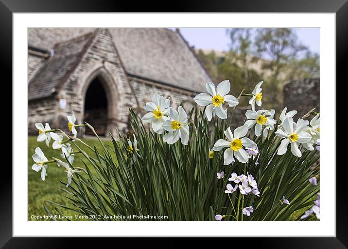 Spring In The Churchyard Framed Mounted Print by Lynne Morris (Lswpp)