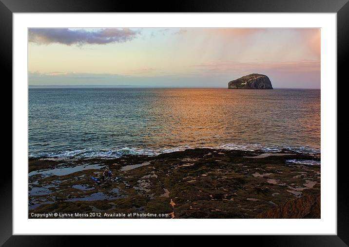 Sunset Over Bass Rock Framed Mounted Print by Lynne Morris (Lswpp)