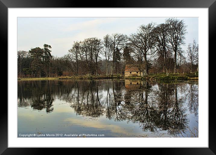 The High Pond Framed Mounted Print by Lynne Morris (Lswpp)