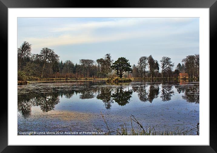 The Curling Pond Framed Mounted Print by Lynne Morris (Lswpp)