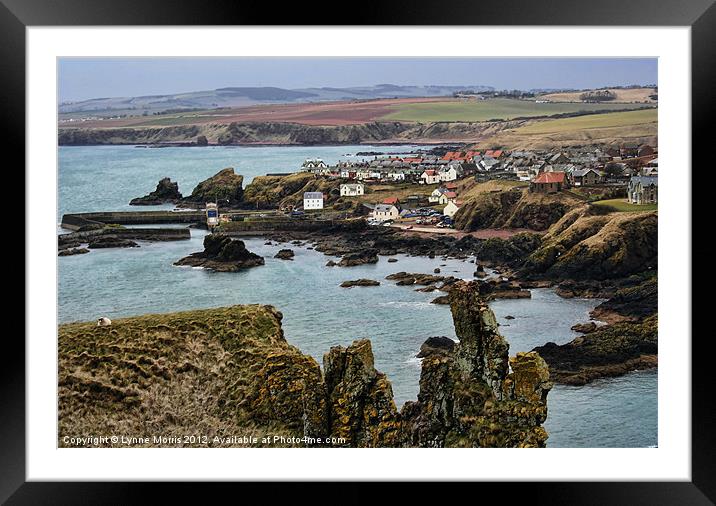Looking Over St Abbs Framed Mounted Print by Lynne Morris (Lswpp)
