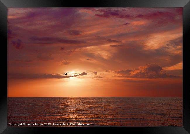 A Florida Sunset Framed Print by Lynne Morris (Lswpp)