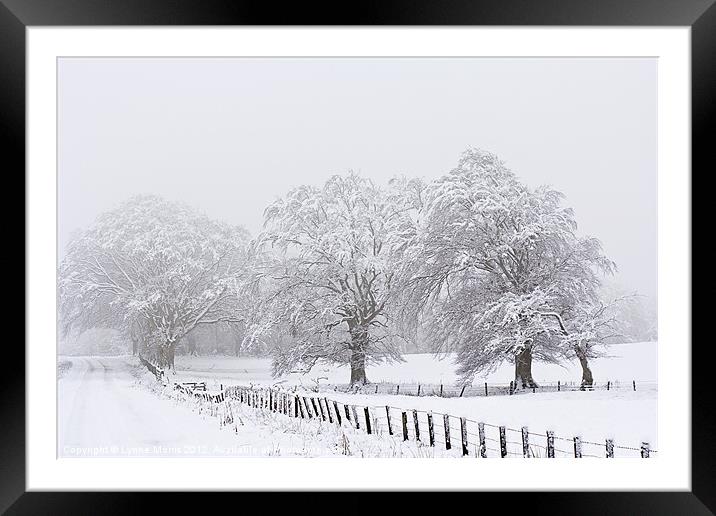 A White Out Framed Mounted Print by Lynne Morris (Lswpp)