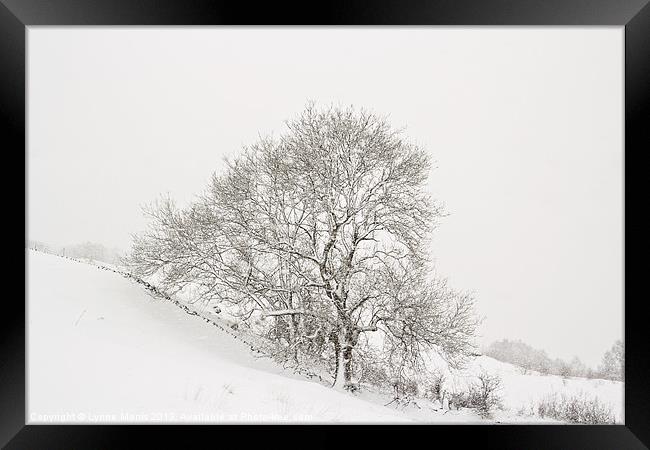 Snowy Tree Framed Print by Lynne Morris (Lswpp)