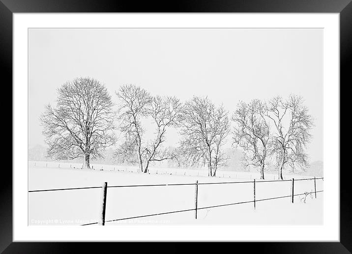 A Line Up Framed Mounted Print by Lynne Morris (Lswpp)
