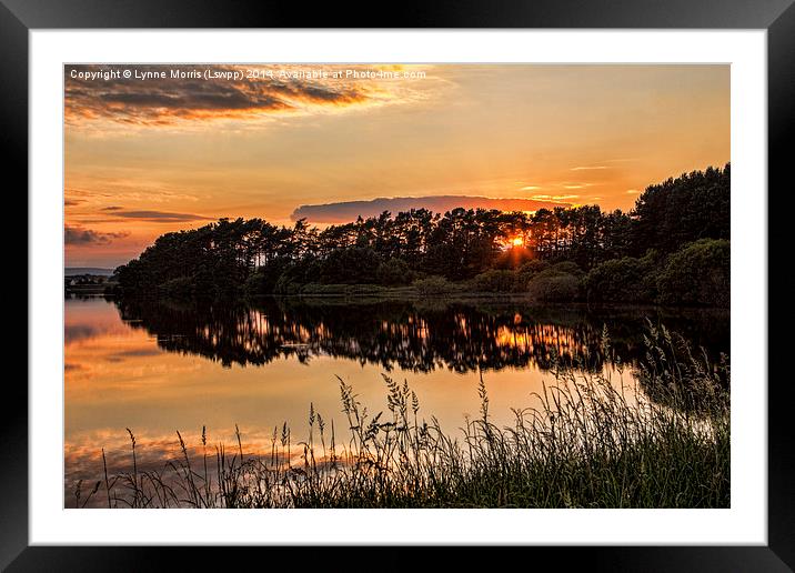  Summer Sunset Over Gladhouse Reservoir Framed Mounted Print by Lynne Morris (Lswpp)