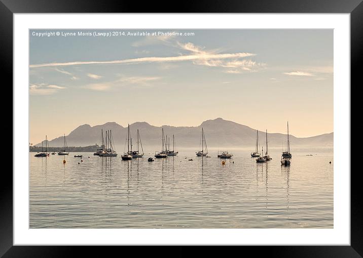  Boats In The Bay Framed Mounted Print by Lynne Morris (Lswpp)