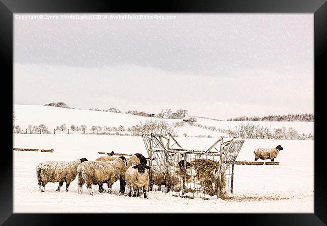  In The Bleak Mid Winter Framed Print by Lynne Morris (Lswpp)