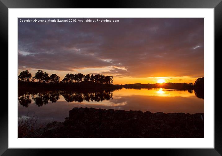 Summer Sunset  Framed Mounted Print by Lynne Morris (Lswpp)