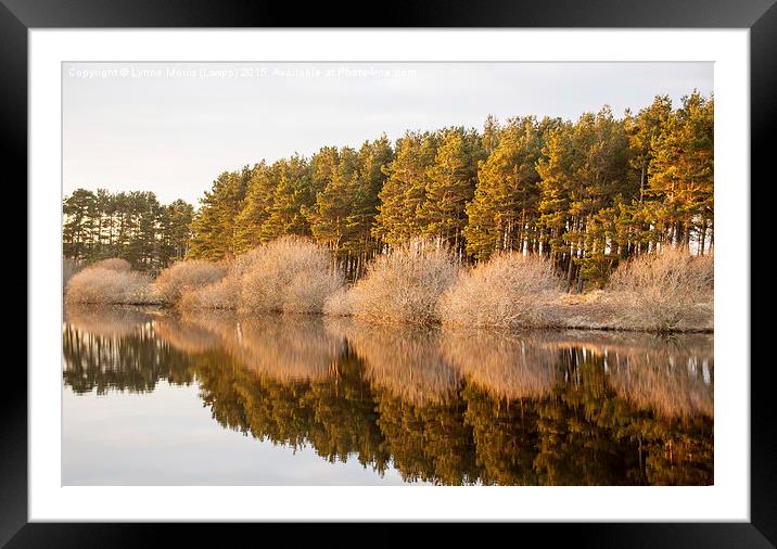  Reflections Framed Mounted Print by Lynne Morris (Lswpp)