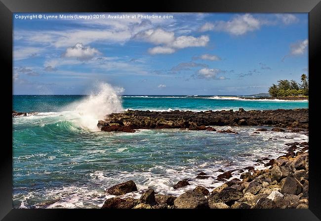  Hawaiian Splash Framed Print by Lynne Morris (Lswpp)