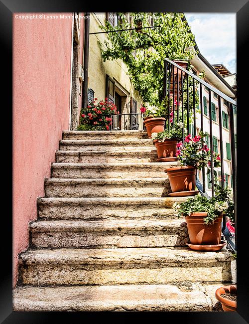  Typical Italian Steps Framed Print by Lynne Morris (Lswpp)