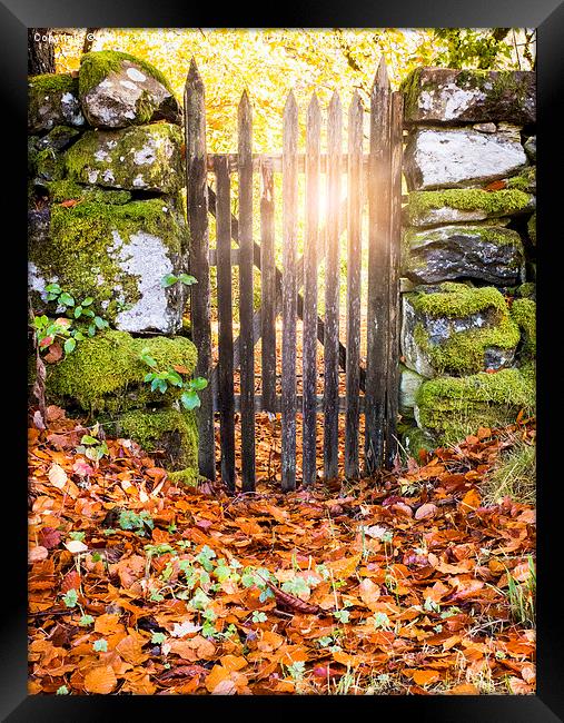 Sunrays through a gate Framed Print by Lynne Morris (Lswpp)