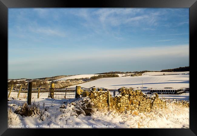 Winter In The Country Framed Print by Lynne Morris (Lswpp)