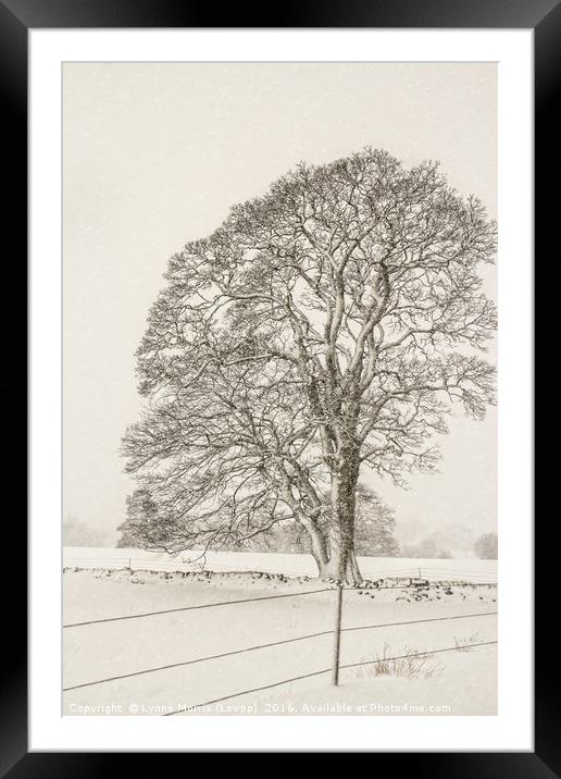 A Lone Tree In Winter Framed Mounted Print by Lynne Morris (Lswpp)