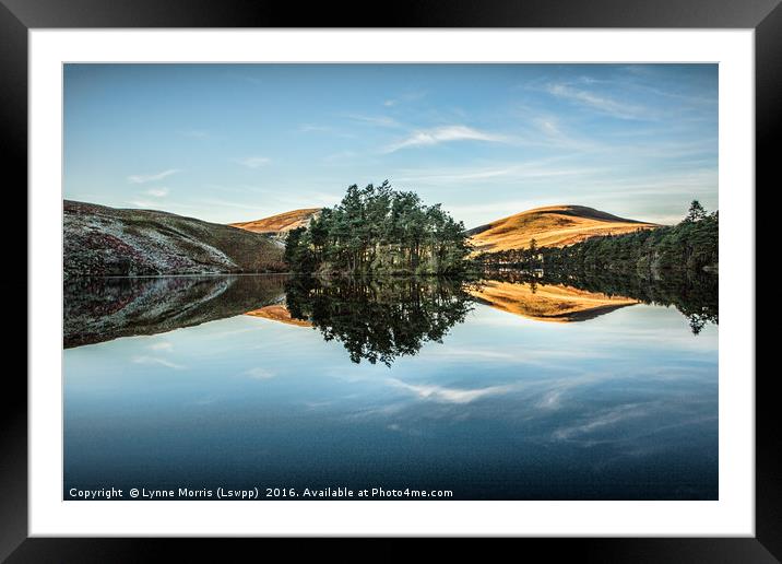 Reflections Framed Mounted Print by Lynne Morris (Lswpp)