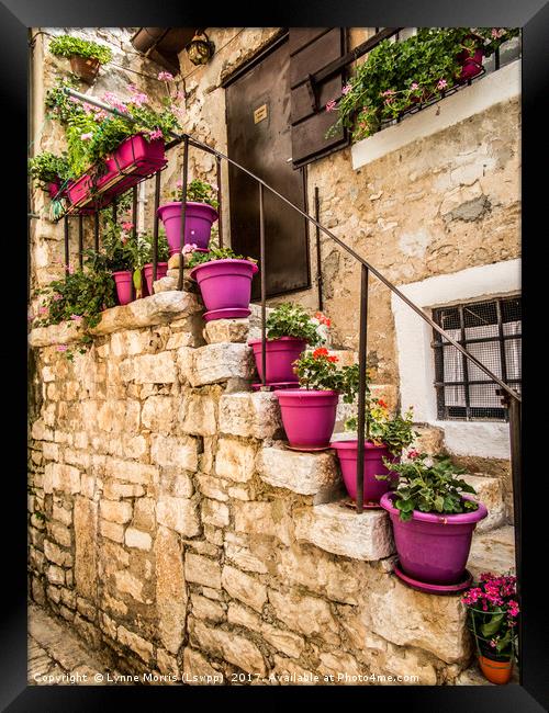 Plant pots and Stairs Framed Print by Lynne Morris (Lswpp)