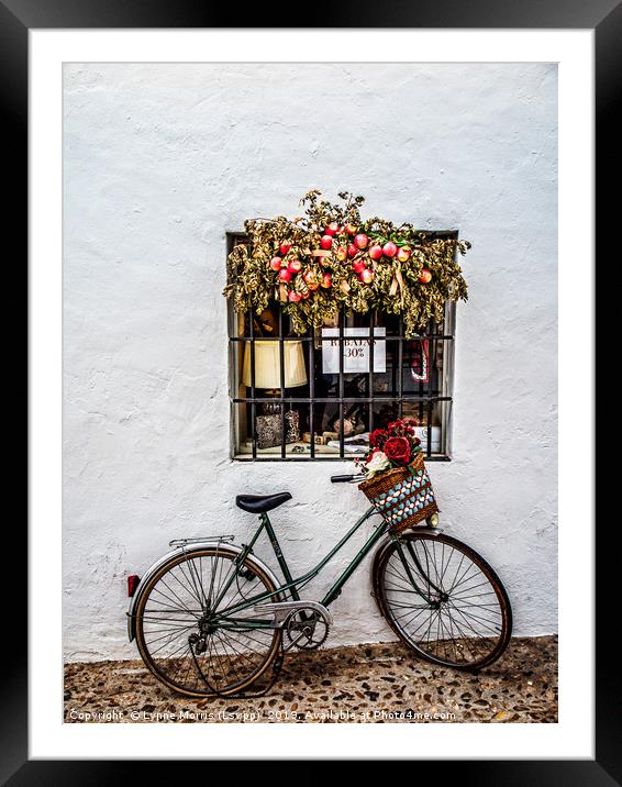 Bike with Basket Framed Mounted Print by Lynne Morris (Lswpp)