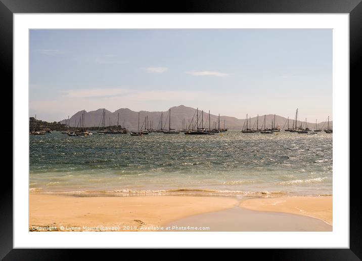 Puerto Pollensa Beach Framed Mounted Print by Lynne Morris (Lswpp)