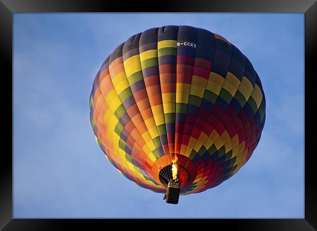 Up And Away Framed Print by Lynne Morris (Lswpp)