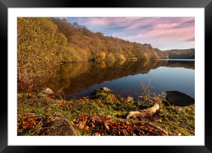 Autumn on the lake Framed Mounted Print by Eddie John