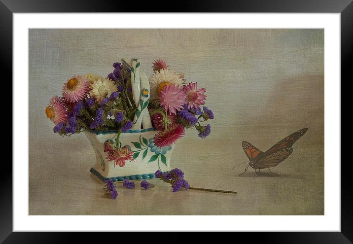 Everlasting flowers in vase with butterfly Framed Mounted Print by Eddie John
